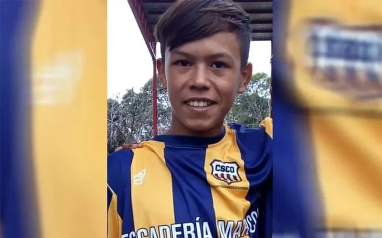 Santa Fe: tenía 12 años, fue depredado por una jauría y ahora los dueños van a juicio