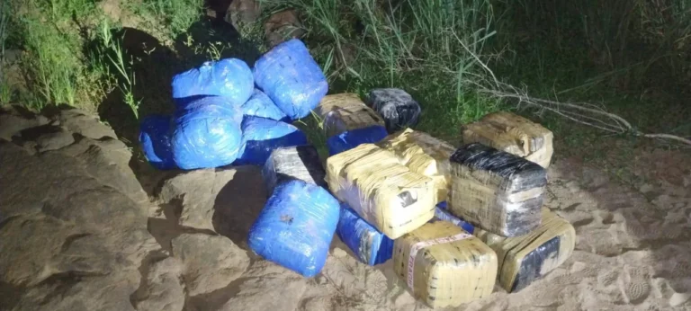 Misiones: más de 500 kilos de marihuana abandonados fueron decomisados por Gendarmería