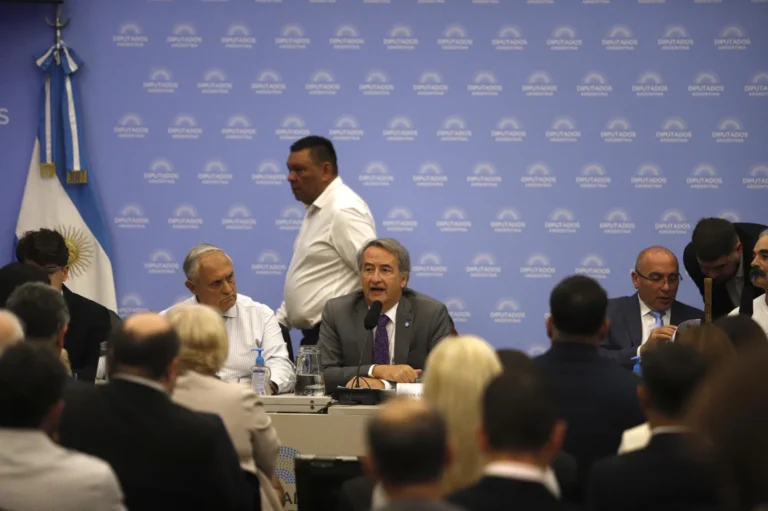 Tras una primera jornada tensa, la audiencia por la Ley de Glaciares continúa su recorrido en Diputados