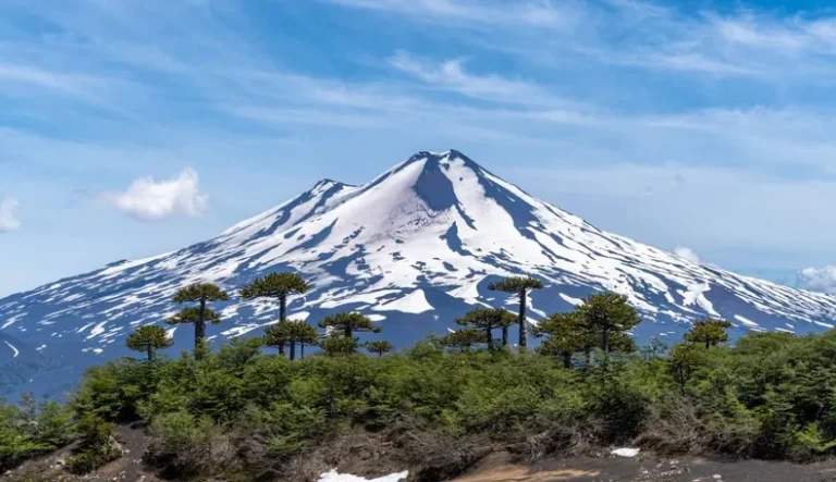 Quién es Javier Álvarez, el argentino que encontraron con vida tras desaparecer en el volcán Llaima de Chile