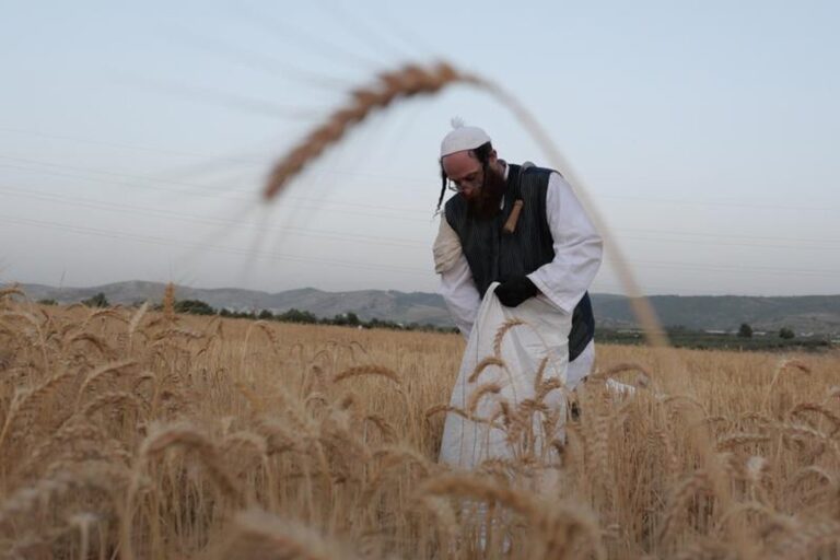 Israel: la economía sufrió una fuerte contracción tras el conflicto bélico con Irán