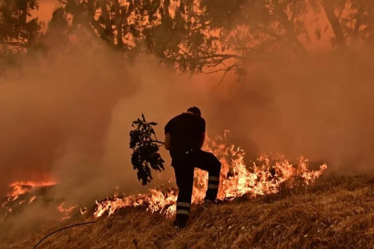 Incendios forestales devastaban miles de hectáreas en Florida