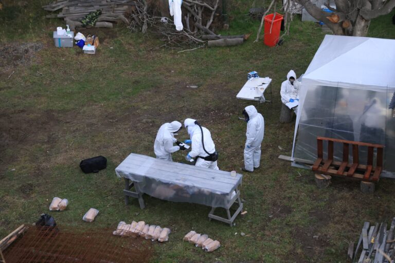 Incógnita e investigación: así se definió qué lugares inspeccionar en Ushuaia en busca del origen del brote de hantavirus