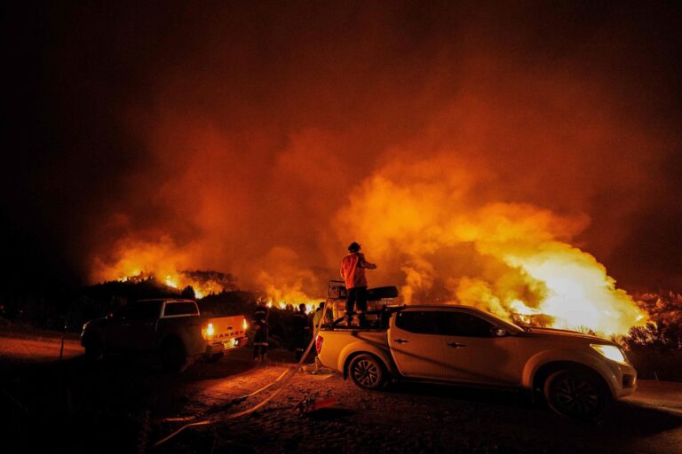 ¿Cuánto cuestan los incendios forestales en la Patagonia? Las conclusiones alarmantes de dos expertos que hicieron el cálculo