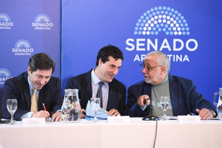 Senado: juez Pesino defiende su pliego que tiene cuatro impugnaciones de abogados, la CGT y la UOM
