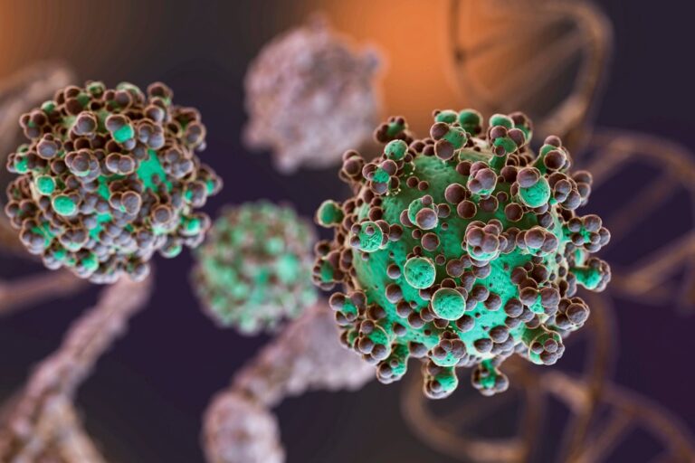 Hantavirus: se notificaron nuevos casos y la totalidad de los mismos asciende a 47