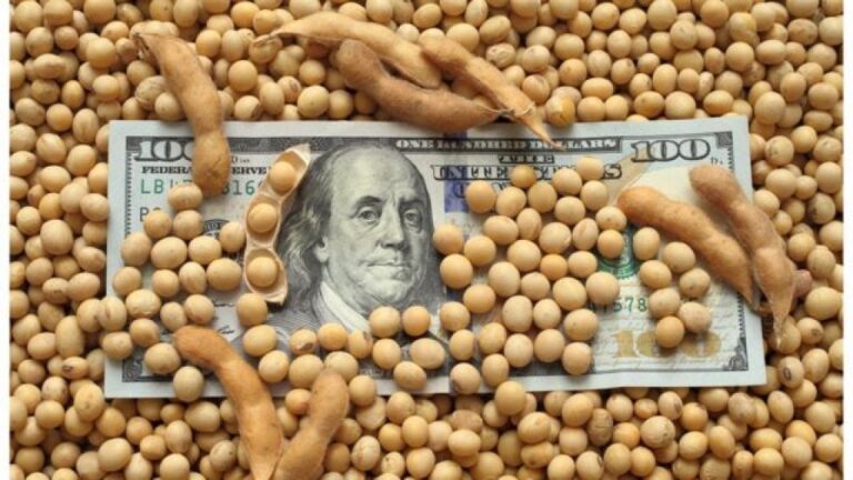 Las empresas agroexportadoras liquidaron U$S 2.677 millones en mayo